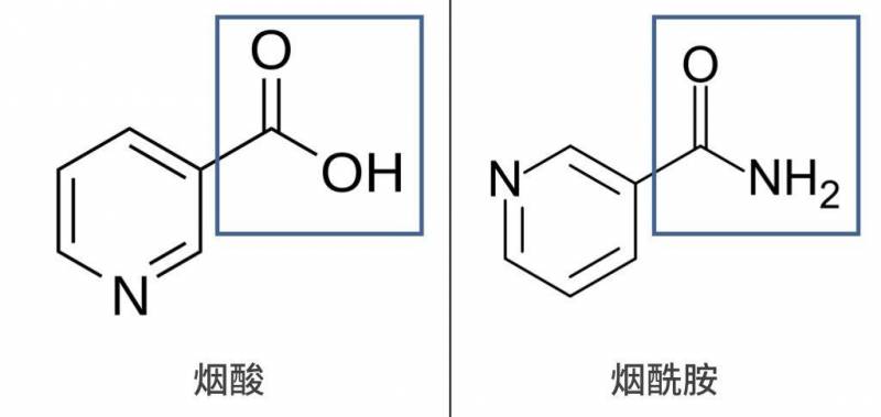 露怡斯烟酰胺精华敏感肌能用吗？露怡斯烟酰胺精华怎么样？