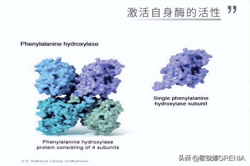 歌锐娜护肤品好用吗？歌锐娜蛋白酶精华面膜怎么样？