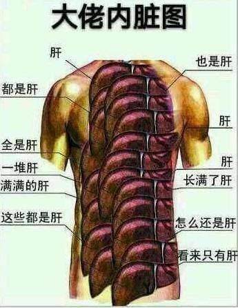 魔兽世界普罗德摩尔海军声望怎么冲（魔兽世界8）