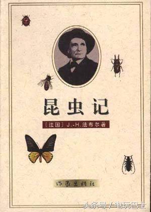 空洞骑士虫子收集位置（一群空洞骑士粉丝破译了游戏中的虫子语）