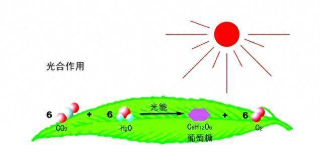 地球末日生存a堡密码（日常安利地球末日生存一场硬核生存之旅）