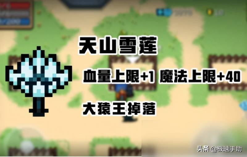 元气骑士电脑怎么玩？TCGames教你怎么不用安卓模拟器畅玩元气骑士手游高清电脑版？