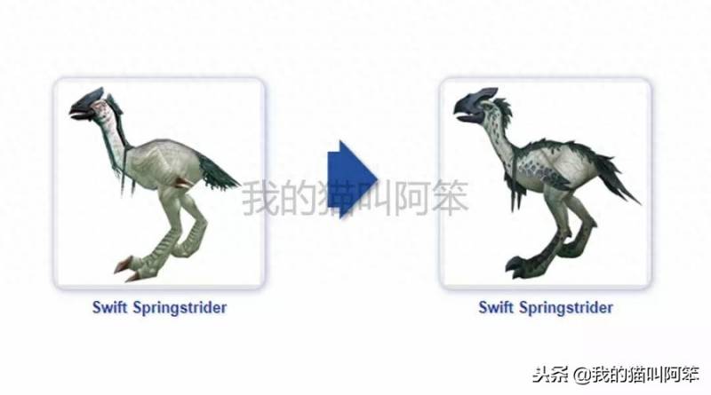 魔兽世界精灵坐骑在哪买？魔兽世界几种陆行鸟坐骑外观将在8.1版本改变？