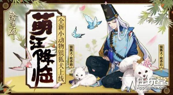 阴阳师8月神秘符号（黑白阴阳符号）