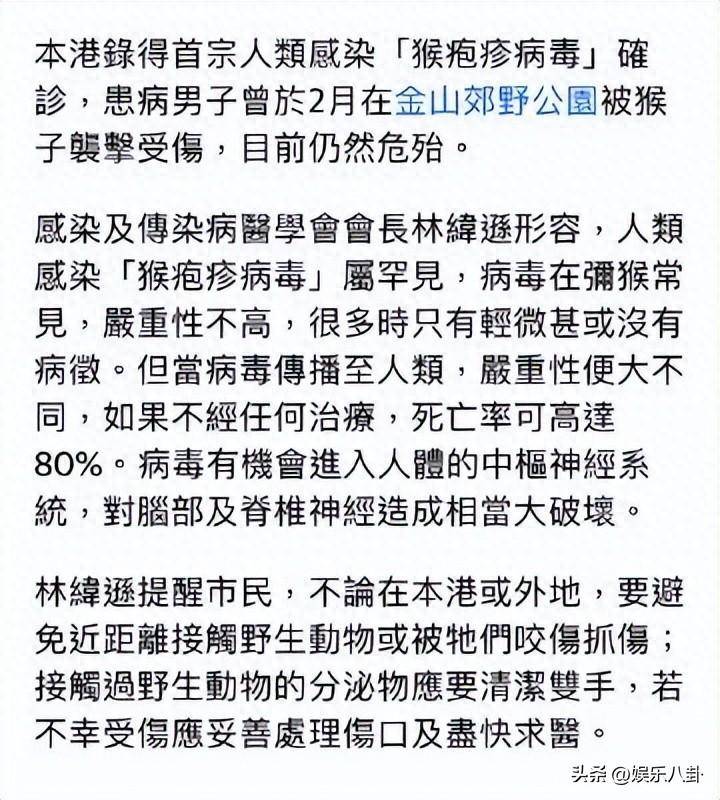 猴子拳击双人游戏（《猴子拳击》手游评测）