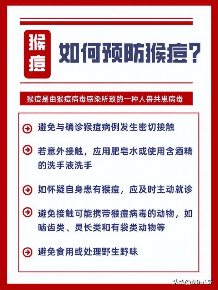 猴子拳击双人游戏（《猴子拳击》手游评测）