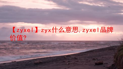 【zyxel】zyx什么意思,zyxel品牌价值?  第1张