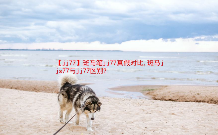 【jj77】斑马笔jj77真假对比,斑马jjs77与jj77区别?  第1张