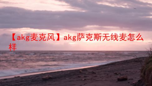 【akg麦克风】akg萨克斯无线麦怎么样  第1张