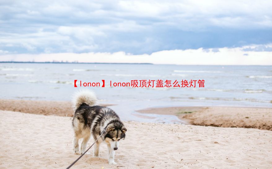 【lonon】lonon吸顶灯盖怎么换灯管  第1张