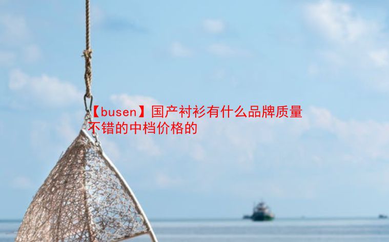 【busen】国产衬衫有什么品牌质量不错的中档价格的  第1张