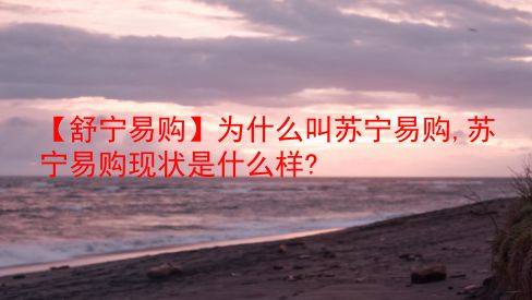 【舒宁易购】为什么叫苏宁易购,苏宁易购现状是什么样?  第1张