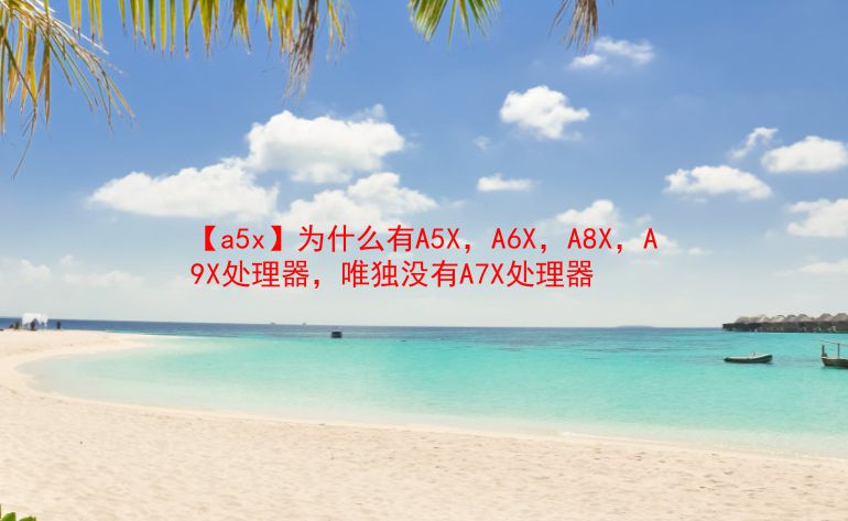 【a5x】为什么有A5X，A6X，A8X，A9X处理器，唯独没有A7X处理器  第1张