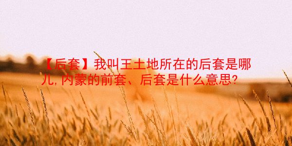 【后套】我叫王土地所在的后套是哪儿,内蒙的前套、后套是什么意思?  第1张