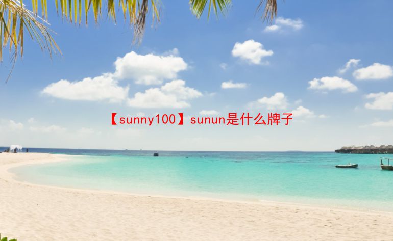 【sunny100】sunun是什么牌子  第1张