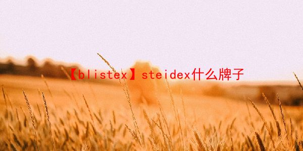 【blistex】steidex什么牌子  第1张